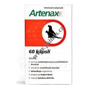 Folio Artenax 60cps