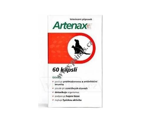 Folio Artenax 60cps