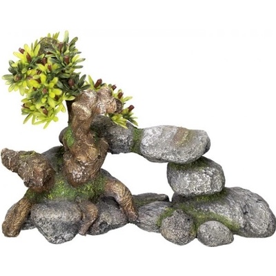 Nobby Bonsaj 19x9x13 cm