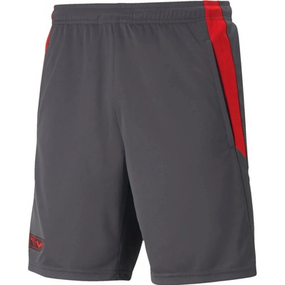 Puma x BATMAN Training Shorts Jr Asphalt