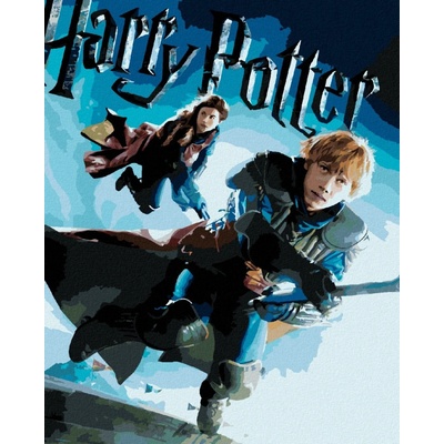 Zuty Malování podle čísel PLAKÁT HARRY POTTER A FÉNIXŮV ŘÁD RON