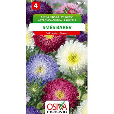 Semínka Astra čínská Princess směs barev (Callistephus chinensis)