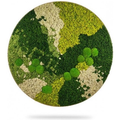 Machový obraz kruh ORTHO SPRING, priemer 40cm, dubový rám