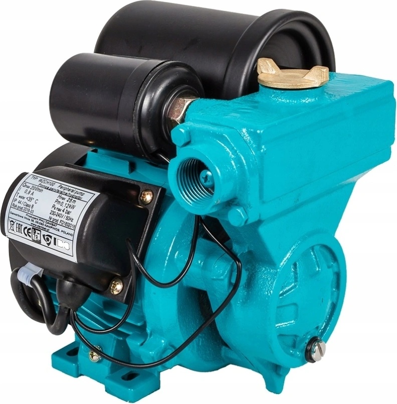 IBO WZCH 100 1L