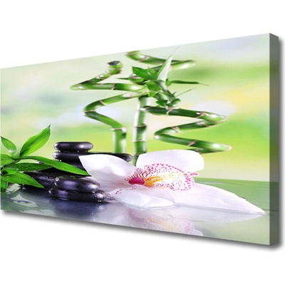 Obraz Canvas Orchidea bambus zen kúpele 100x50 cm