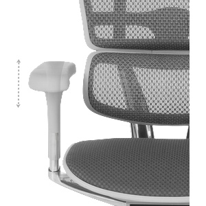 Ergohuman Ергономичен стол ergohuman elite 2 - сива рамка - сив (3520664_1) - bay