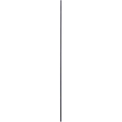 Guide bar 10 x 800 mm Bosch Accessories 2609200145 Priemer 10 mm