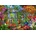 Bluebird Puzzle - Puzzle Ciro Marchetti: Tropical Green House - 1 000 piese