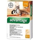 Advantage spot-on pre malé mačky a králiky 40 mg 4 x 0,4 ml