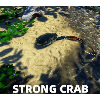 Strong Crab