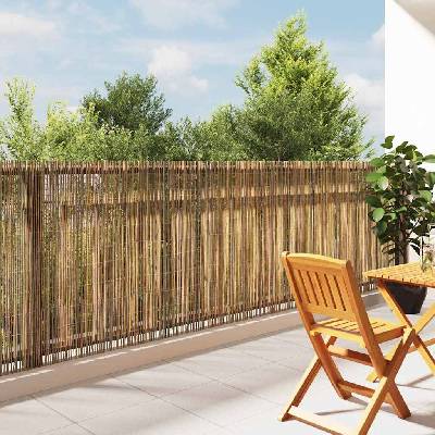 OMAXI Bambusový plot 300 x 125 cm Bambus Přírodní 886057