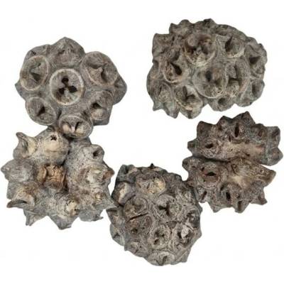 Spidergum knobs loose 250gr 28x12x6cm