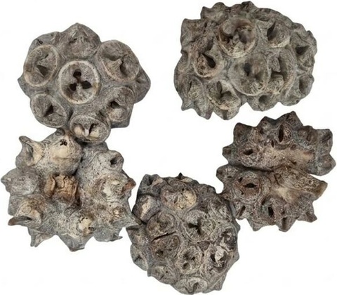 Spidergum knobs loose 250gr 28x12x6cm