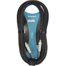 Bespeco XCS600