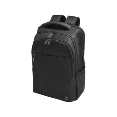 HP Batoh Professional 17,3" (500S6AA)