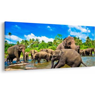 Obraz - Sloni, Sri Lanka, jednodílný 200x100 cm – Hledejceny.cz