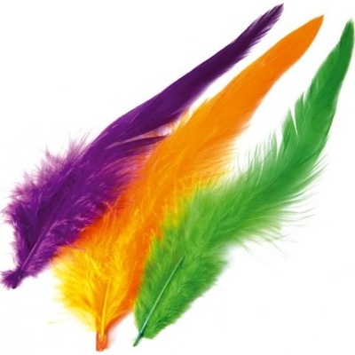 Veniard Schlappen Feathers Dyed Jemné kohoutí peří bílá