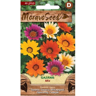 MoravoSeed Semená gazánie zmes 40 ks.