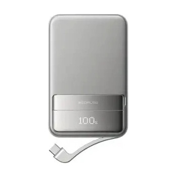 EcoFlow 1ECORAP5000