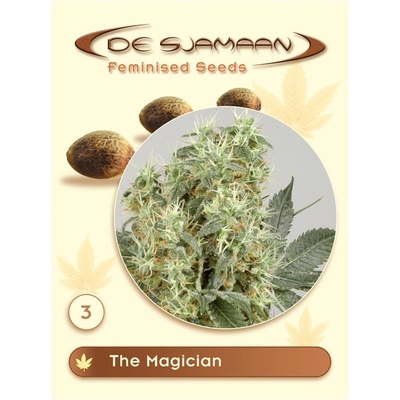 De Sjamaan Seeds The Magician semena neobsahují THC 3 ks