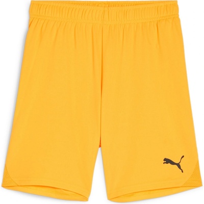 Puma Teamgoal shorts jr 705753-61