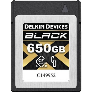 Delkin Devices Black 650GB DCFX4B650