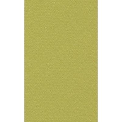 Hahneműhle Papír Hahnemühle Lana Colours A4160 g/m2pistáciový