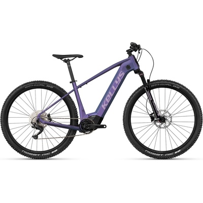 Kellys Tayen R50 P 2025