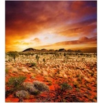 DIMEX ART Флизелинов фототапет австралия 225 x 250 см