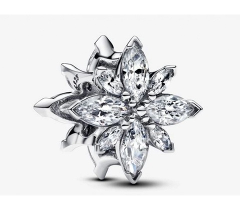 Pandora 793591C01