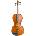 Stentor Student Standard 1/8 Акустична цигулка (SR1018G)