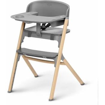 KinderKraft Igee