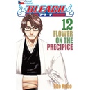 Bleach 12