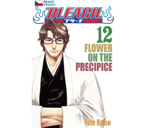 Bleach 12