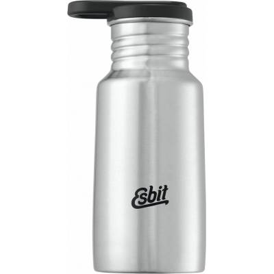 Esbit Pictor Drinking Bottle stainless steel matt 350 ml