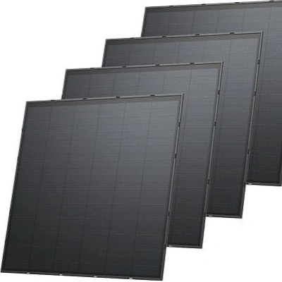 EcoFlow EFSOLAR250W-R-D-LF-1