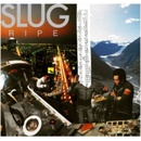 SLUG: RIPE LP