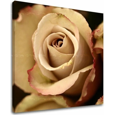 Obraz na stenu KVETY - 30x30