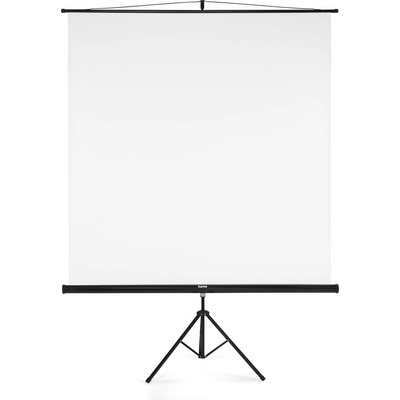Estillo Екран на стойка 180x180 cm, 2 в 1, мобилен комплект, 21573 (21573)