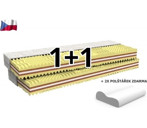 MPO Hortenzie 1+1