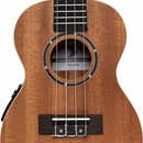 Stagg UC-30