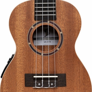 Stagg UC-30