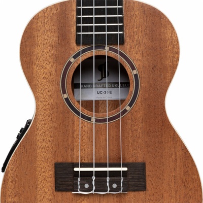 Stagg UC-30