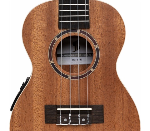 Stagg UC-30