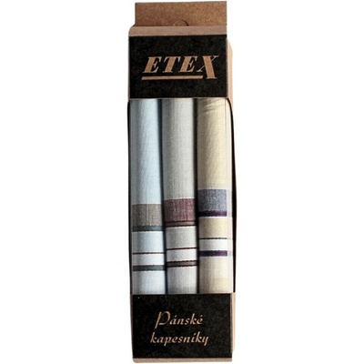 Etex Pánské látkové kapesníky v malé krabičce M2 - 3 ks