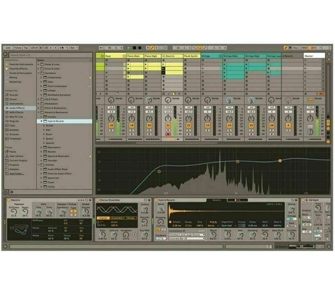 Ableton Live 11 Standard