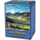 Everest Ayurveda Kantakari 100 g