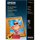 Epson C13S042538