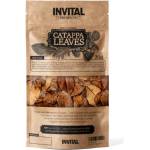 INVITAL CatappaLeaves 20g листа от бадемово дърво (Z11189)