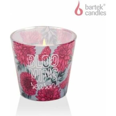 Bartek royal pink & powder pink 115 g